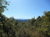 DSCN4686.jpg DSCN4686.jpg