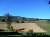 DSCN4701.jpg DSCN4701.jpg