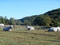 DSCN4704.jpg DSCN4704.jpg