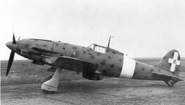 MC.202_2.jpg