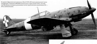 MC.202_3.jpg