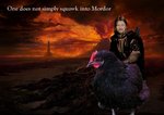 squawk.jpg