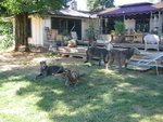 Da pack-jul06.jpg