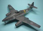 Flat Coat_4268.JPG