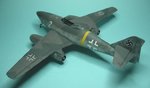Flat Coat_4272.JPG