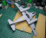 Flat Coat_4276.JPG