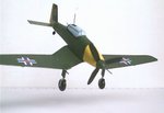 pic1.jpg