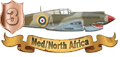 MNA-3.gif