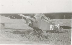 L-4 Grasshopper 2.jpg