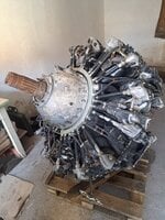 20250204_142246.jpg