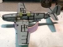 IMG_20250202_172021.jpg