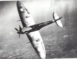Spitfire-Profile.jpg