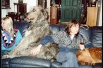 Scariff holds court-medium size.jpg