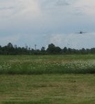IMG_3088 1.jpg