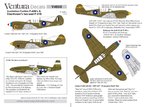 V4868 P-40 Stars as printed_Page_1.jpg