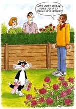 Untitled attachment 00074.jpg