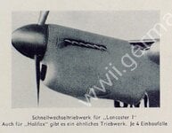 schnellW.jpg