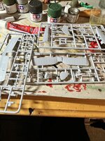IMG_2429.jpeg