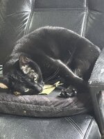 IMG_6817.jpeg