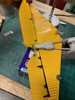 IMG_0691.jpeg