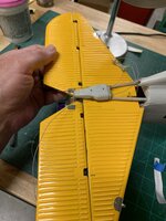 IMG_0692.jpeg