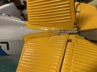 IMG_1085.jpeg
