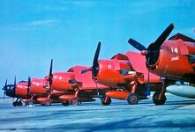 F6F Drones-06.jpg