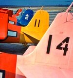 F6F Drones-11.jpg