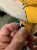 IMG_1145.jpeg
