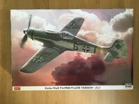Hasegawa.jpg