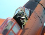30_A7M1_4303.JPG