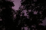 IMGP6975-cr.jpg