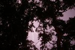 IMGP6983-cr.jpg