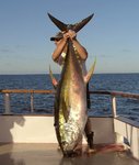 yellowfin02.jpg