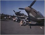 war-1.jpg