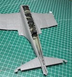 TPDS0470.JPG