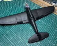 IMG_3398.jpg
