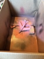 IMG_2472.jpeg
