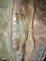 IMG_20250509_191438.jpg