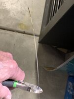 IMG_1646.jpeg