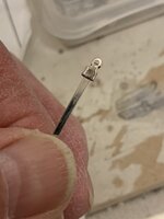 IMG_1780.jpeg