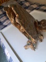 20250515_103049.jpg