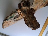 20250515_103241.jpg