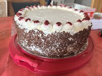 IMG_1425.jpeg
