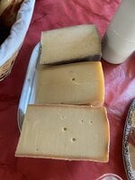 IMG_1431.jpeg