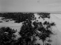 usmc-series-wwii-marine-air-wing-sbd-f6f-ulithi-atoll-042745-1.jpg.27960e826d3549e63ba8b42480c...jpg