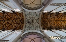 IMG_2491.jpeg