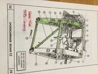 IMG_0206.jpeg