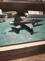 IMG_20250615_172629337.jpg