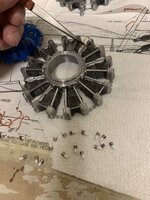 IMG_2049.jpeg